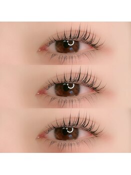3104/Parisienne Lash Lift