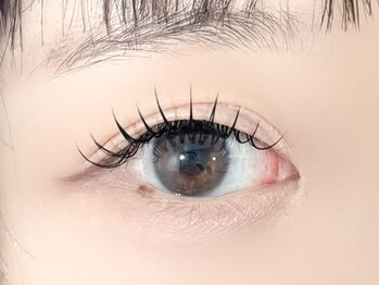 アイルーム312(eyeroom 312)/- フラットラッシュ　-