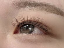 ルチア(Lucia)/カラー♪フラットラッシュ120本