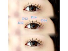 シックドゥアキタ(CHIC de Akita)/バインドロック