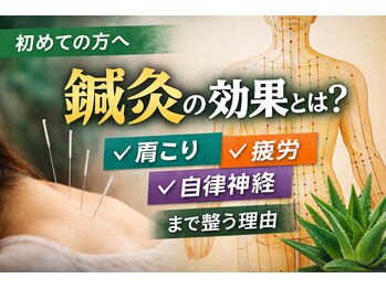 アロエ鍼灸整体院 南森町院/鍼灸の効果とは？