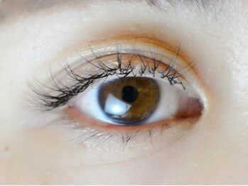 ディシェーレノーテ アイラッシュ(die Schere Note EyeLash)/セーブル100本