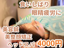 リマホオラシンキュウセイコツイン(lima ho ola鍼灸整骨院)