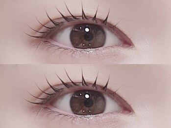 リノ(Lino)/カールデザイン