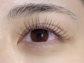 くるり 上野店/ブラウンフラット160本