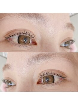 ランプシー(Lampsi)/