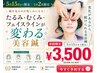 【5/10空きあり】たるみ改善☆スタンダード美容鍼￥8,250→￥3,500