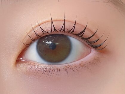 リノ(Lino)の写真