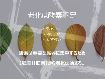 ミルアカ(Milu'aca)の写真