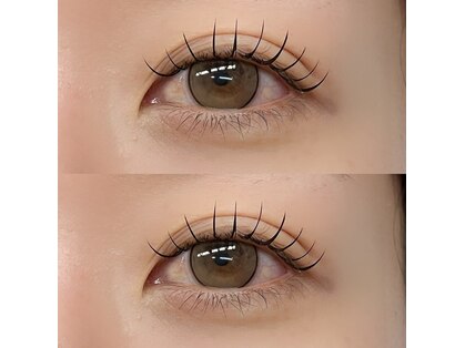 フェリーチェ(Felice)の写真