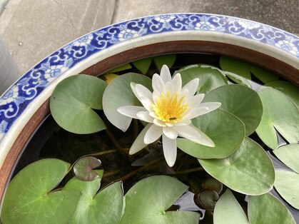 プレマヨガ(PREMA YOGA)の写真