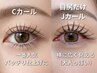 【セーブルorフラット 120本】存在感ある目元に!華やかさ×上品さ