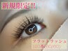 【ご新規様限定！】★大人気★フラットラッシュ安定の120本￥6000→￥5000
