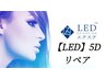【LED】 5D リペア 40束まで