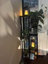 キノト(kinoto)/内観３