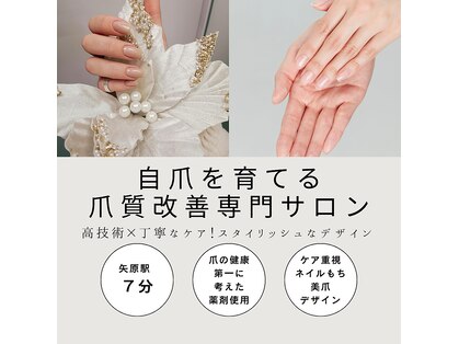 マカナ(Makana)の写真
