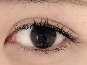 カラン 焼津店(CALIN)/フラットラッシュ120本