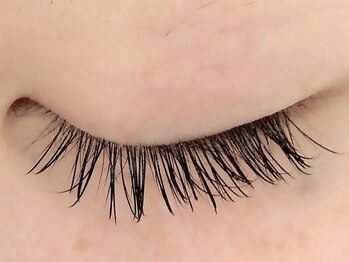 カラン 焼津店(CALIN)/フラットラッシュ120本