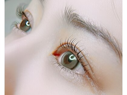 レムリア(Lemuria)の写真