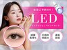 《2回目の方限定》フラットラッシュ（LED）100本 ￥5500/120本￥6600
