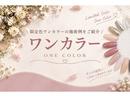 平日限定♪限定色ワンカラー