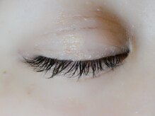 ディシェーレノーテ アイラッシュ(die Schere Note EyeLash)/セーブル100本