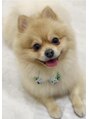 オトア(O'toa) 愛犬のおんです☆オトアの由来でもある子です(^^)