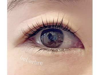 ベル アルブル(bel arbre)/人気のまつ毛パーマ!