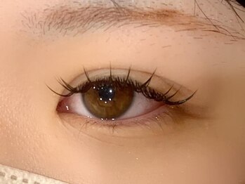 アングゥ ウル(ungu ul)/セーブルラッシュ100本