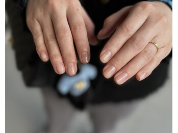 ロータス(LOTUS)/