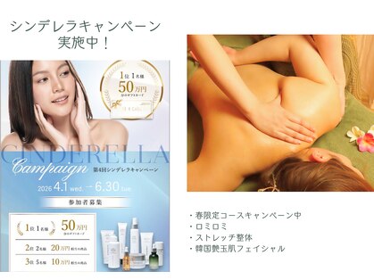 ソマリ(SOMALI)の写真