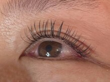 ウルカ アイラッシュ(uruka EYELASH)/フラットラッシュ 120本