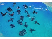 ミスシュガーネイル(MS Sugar Nail)/新しい入荷パーツ