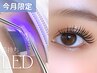 ★19・20・21日限定 LEDボリュームラッシュ300￥5800→￥5300　[那覇/美栄橋]