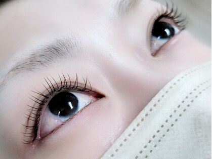 千草(Chigusa)の写真