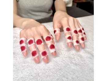 彗星蘭 浅草店/