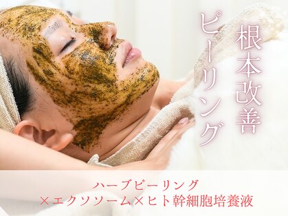 ブランリリー(Blanc Lily)の写真