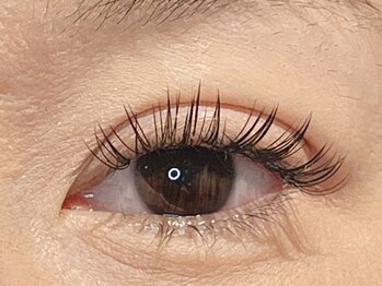 リリー(Lily)/ダブルバインド100束