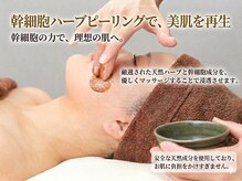 オアシス 岡崎(Oasis)