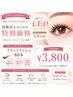 【初回】◇LEDフラットラッシュ80本¥3,800★