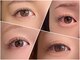 ツキ(tsuki.)の写真