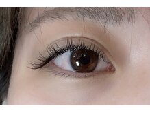 ペルシャ(Persian)/お客様デザイン（担当:宮井）