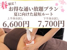 ビューティーワンド ココ(Beauty Wand COCO)