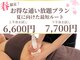 ビューティーワンド ココ(Beauty Wand COCO)の写真