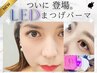 マツパ派歓喜！ 【モチ抜群◎ LEDまつげパーマ/パリジェンヌ束感仕上げも★】