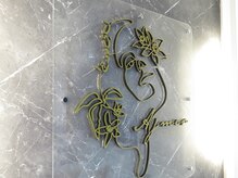 アジュメル(Ajumel)/Ajumel