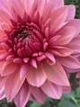 プランビー 高井戸店(PLAN B) お花や植物が癒しです。