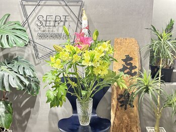 セプトきらく鍼灸整体院(Sept.)/今週のお花♪