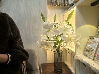 ショウウン(SHOUN)/