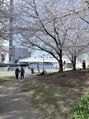 スタジオティーティー 横浜西口店(STUDIO TT) 桜木町の桜!毎年この景色が楽しみで、心がリフレッシュ!